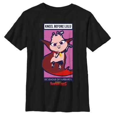 Boy's DC League of Super-Pets Kneel Before Lulu Poster Graphic T-Shirt 