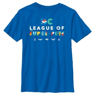 Boy's DC League of Super-Pets Colorful Title Graphic T-Shirt 