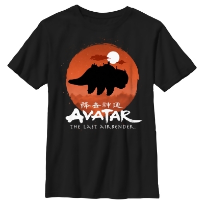 Boy's Avatar: The Last Airbender Classic Logo Circle Silhouette Graphic T-Shirt 