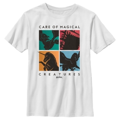 Boy's Harry Potter Four Fantasy Creatures Graphic T-Shirt 