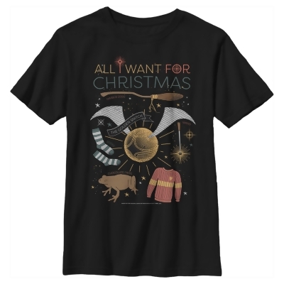 Boy's Harry Potter All I Want for Wizard Christmas Graphic T-Shirt 