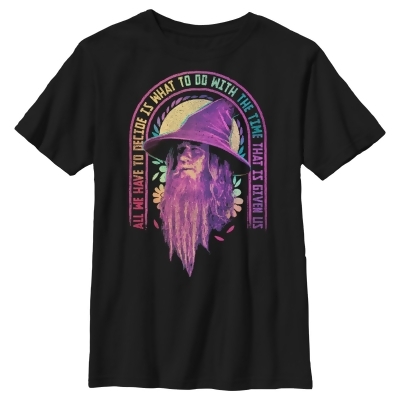 Boy's The Lord of the Rings Fellowship of the Ring Gandalf All We Have to Decide Graphic T-Shirt 
