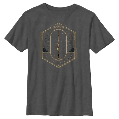 Boy's Hogwarts Legacy Live the Unwritten Graphic T-Shirt 
