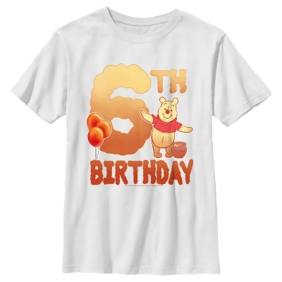 Boy's Winnie the Pooh 6th Birthday Pooh Bear Graphic T-Shirt 