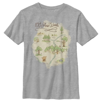 Boy's Winnie the Pooh 100 Acre Woods Map Graphic T-Shirt 
