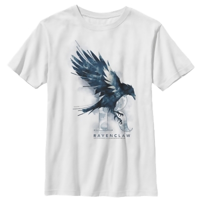 Boy's Harry Potter Ravenclaw Bird Watercolor Graphic T-Shirt 