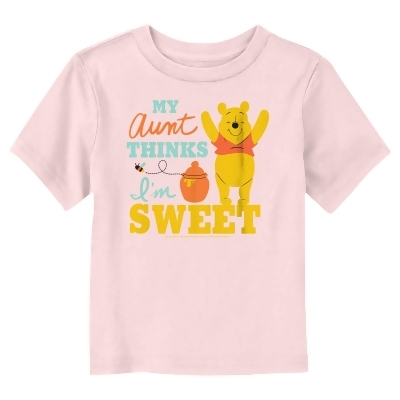Toddler's Winnie the Pooh My Aunt Thinks I’m Sweet Graphic T-Shirt 