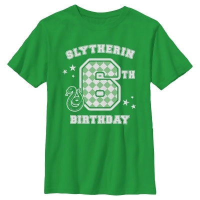 Boy's Harry Potter Slytherin 6th Birthday Graphic T-Shirt 
