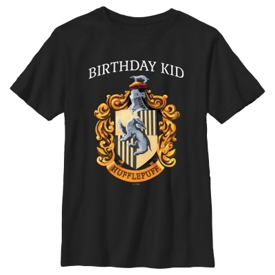 Boy's Harry Potter Hufflepuff Birthday Kid Graphic T-Shirt 
