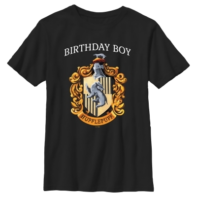 Boy's Harry Potter Hufflepuff Birthday Boy Graphic T-Shirt 