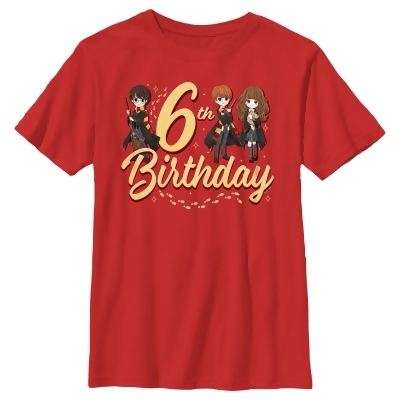 Boy's Harry Potter 6th Birthday Friends Graphic T-Shirt 