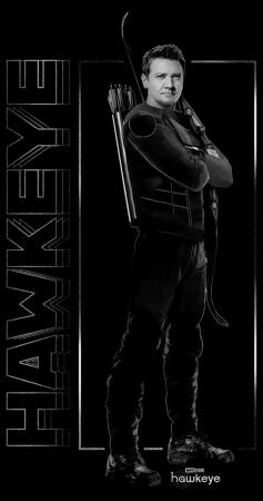 Boy's Marvel Hawkeye Black and White Snapshot Graphic T-Shirt alternate image
