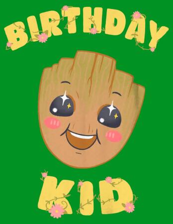 Boy's Guardians of the Galaxy Baby Face Birthday Kid Groot Graphic T-Shirt alternate image