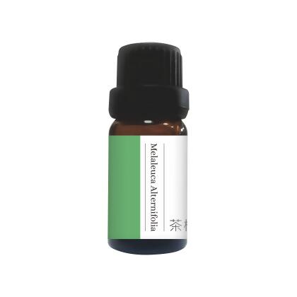 單方精油-茶樹×1瓶(10ML) 
