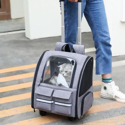 WIN-10036 寵物外出包拉桿包 貓咪後背包 貓咪外出包 毛小孩外出包 - 藍色 