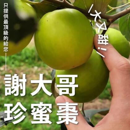 【謝大哥蜜棗園】頂級爆漿蜜棗 3斤/5斤(黑貓低溫配送) 