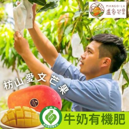 【枋山盧家】 銷日愛文芒果禮盒御用級/寶島級 (產地常溫直送) 