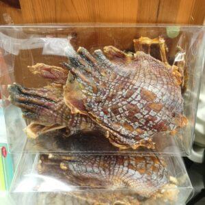灣鱷魚掌 