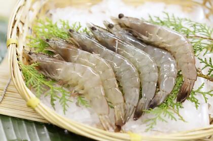 White Prawn | 明虾 | Meng Har 
