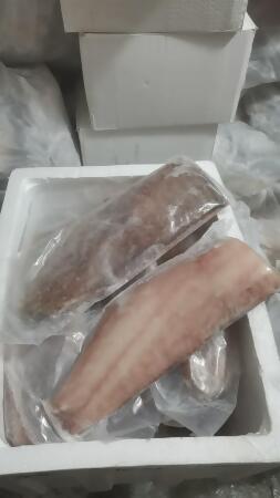 Grouper Fillet | 石斑鱼片 