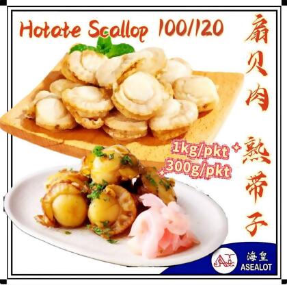 Hotate Scallop 100/120 | 扇贝肉 熟带子 