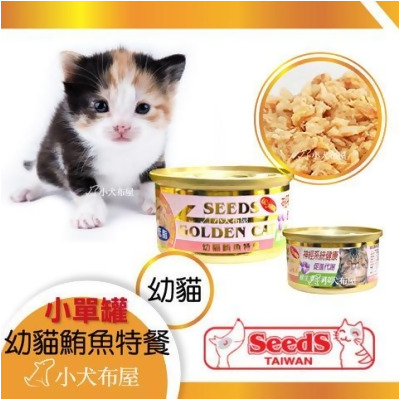 【SEEDS聖萊西】《Golden cat金罐 幼貓罐 80G單罐裝》幼貓罐頭 幼貓餐罐 幼貓食 飼料 - 