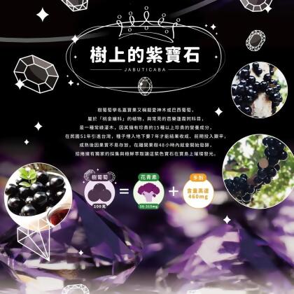 酵素樹葡萄菁華凍30條免運優惠 