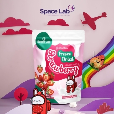 Space Lab Freeze Dried Strawberry Chips (19g) 