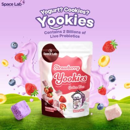 Space Lab Strawberry Freeze Dried Yogurt Cookies 19g 