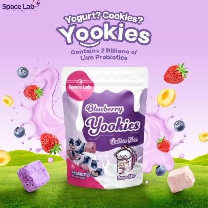Space Lab Blueberry Freeze Dried Yogurt Cookies 19g 