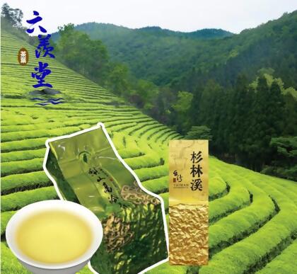 一斤茶葉禮盒組I過年過節送禮最適合I長輩最愛的茶 - 杉林溪茶4兩2入+梨山茶4兩2入 