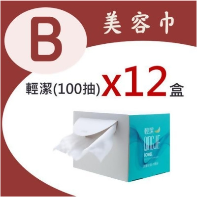 美安大會B組-【輕潔】盒裝美容巾(100張)x12盒 - 