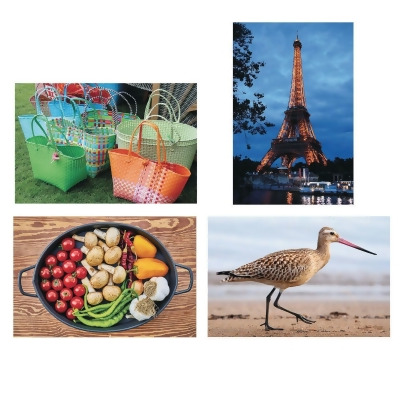 Thera-Jigstick™ Puzzle Set 5: Baskets, Beach Bird, Eiffel Tower, and Vegetables (Set of 4) 
