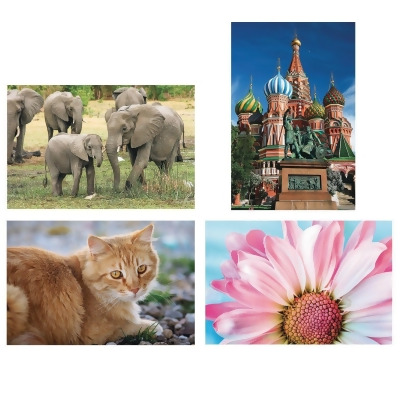 Thera-Jigstick™ Puzzle Set: Tabby Cat, Elephants, Moscow Temple, and Pink Daisy (Set of 4) 