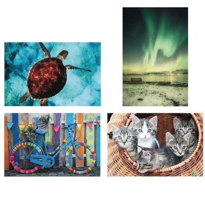Thera-Jigstick™ Puzzle Set: Colorful Bike, Kittens, Northern Lights, and Sea Turtle (Set of 4) 