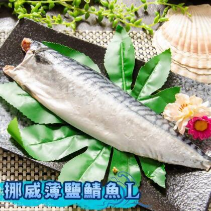 挪威薄鹽鯖魚L18-20片/箱(免運) 
