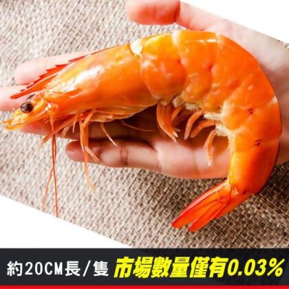 金剛大王白蝦約20公分(16/20 500g/盒) 
