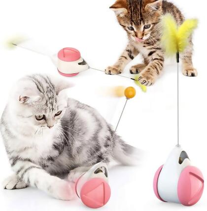 Cat Interactive Balance Toy