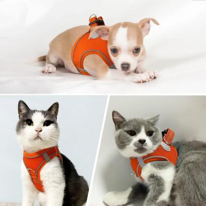Dog Cat Harness Breathable Vest alternate image