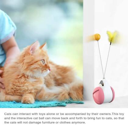 Cat Interactive Balance Toy alternate image