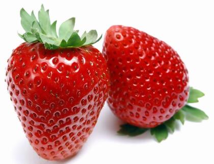 Eversweet Everbearing Strawberry 25 Bare Root Plants - Super Sweet 