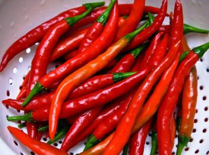 Long Thin Red Cayenne Pepper Plant - 4