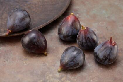 Petite Negri Edible Fig Plant -Ficus carica-Little Black Fig - 2.5