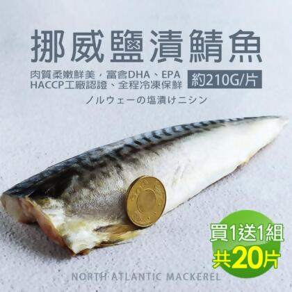 *★買1送1★厚片超大油質豐厚挪威薄鹽鯖魚10片(210g/片 加贈10片共20片) 