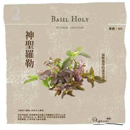 根本芳療 BASIL HOLY 神聖羅勒精油-10ml 
