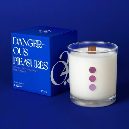 Dangerous Pleasures 230g Natural Soy Wax Candle 