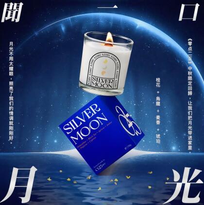 Silver Moon 230g Natural Soy Wax Candle 