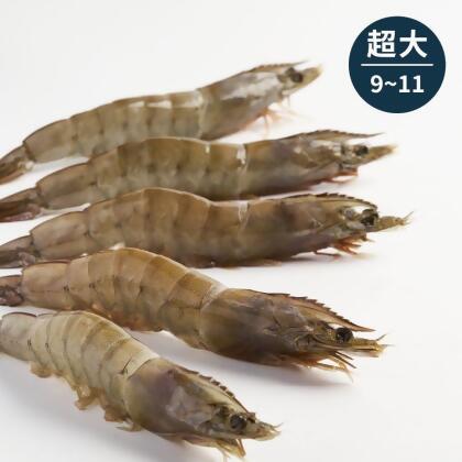 【漁仁】海水無毒白蝦-超大(9-11尾)/300g 