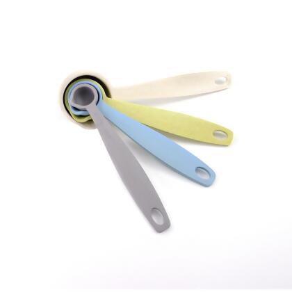Measuring Spoon Set 