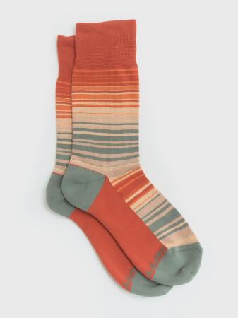 Rainbow Socks 